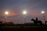 LOUISVILLE, KY - NOVEMBER 3rd:  Horses are lead on and off the rack during the morning exercise session in preparation for the Breeders' Cup at Churchill Downs on November 3, 2025 in Louisville, Kentucky.  (Photo by Matthew Stockman/Getty Images)