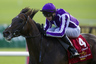 Camelot will attempt to become the first winner of the English Triple Crown since 1970 when he faces eight rivals in the Group 1 St. Leger Stakes at Doncaster on Saturday, September 15th.