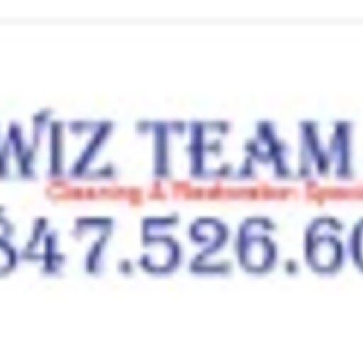 Wiz-Team-Inc_Lake-Forest-IL